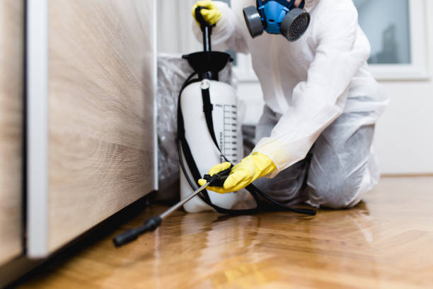 Best Affordable Pest Control Services  in Ferdand, IN