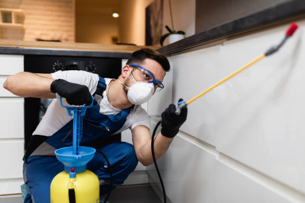 Best Affordable Pest Control Services  in Ferdand, IN