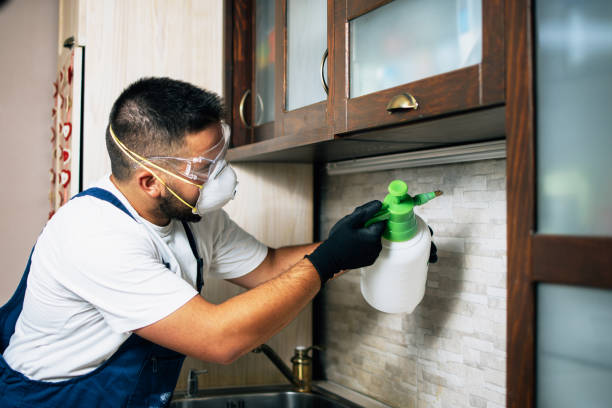 Reliable Ferdinand, IN Pest Control Solutions