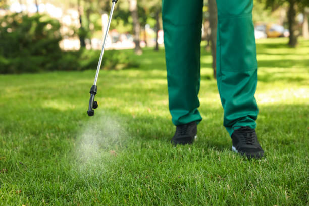 Best Best Pest Control Companies  in Ferdand, IN