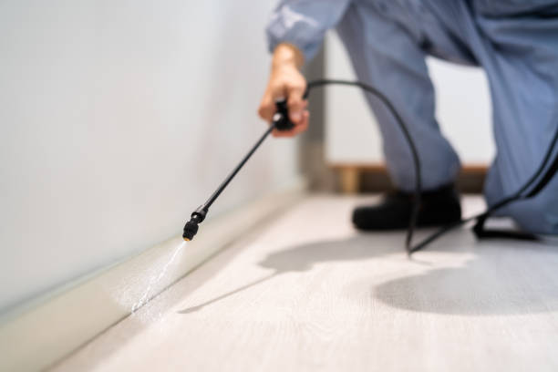 Pest Control Cost in Ferdinand, IN