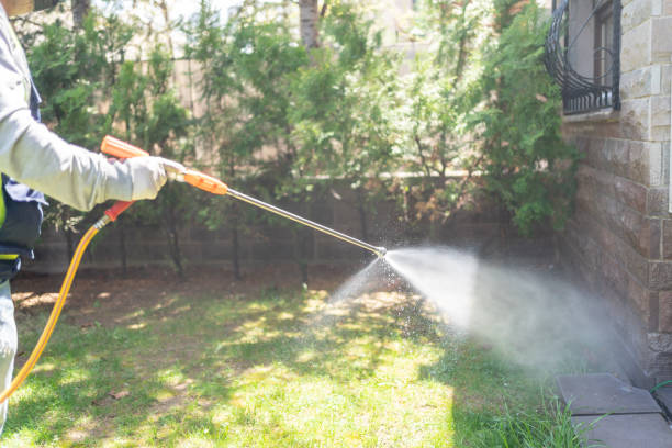 Best Bed Bug Extermination  in Ferdand, IN