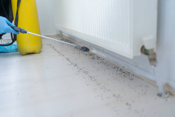 Best Residential Pest Control  in Ferdand, IN